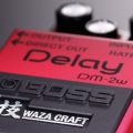 DM-2W