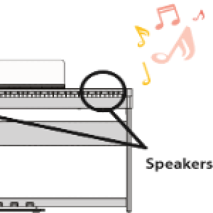 FP-30X Bluetooth